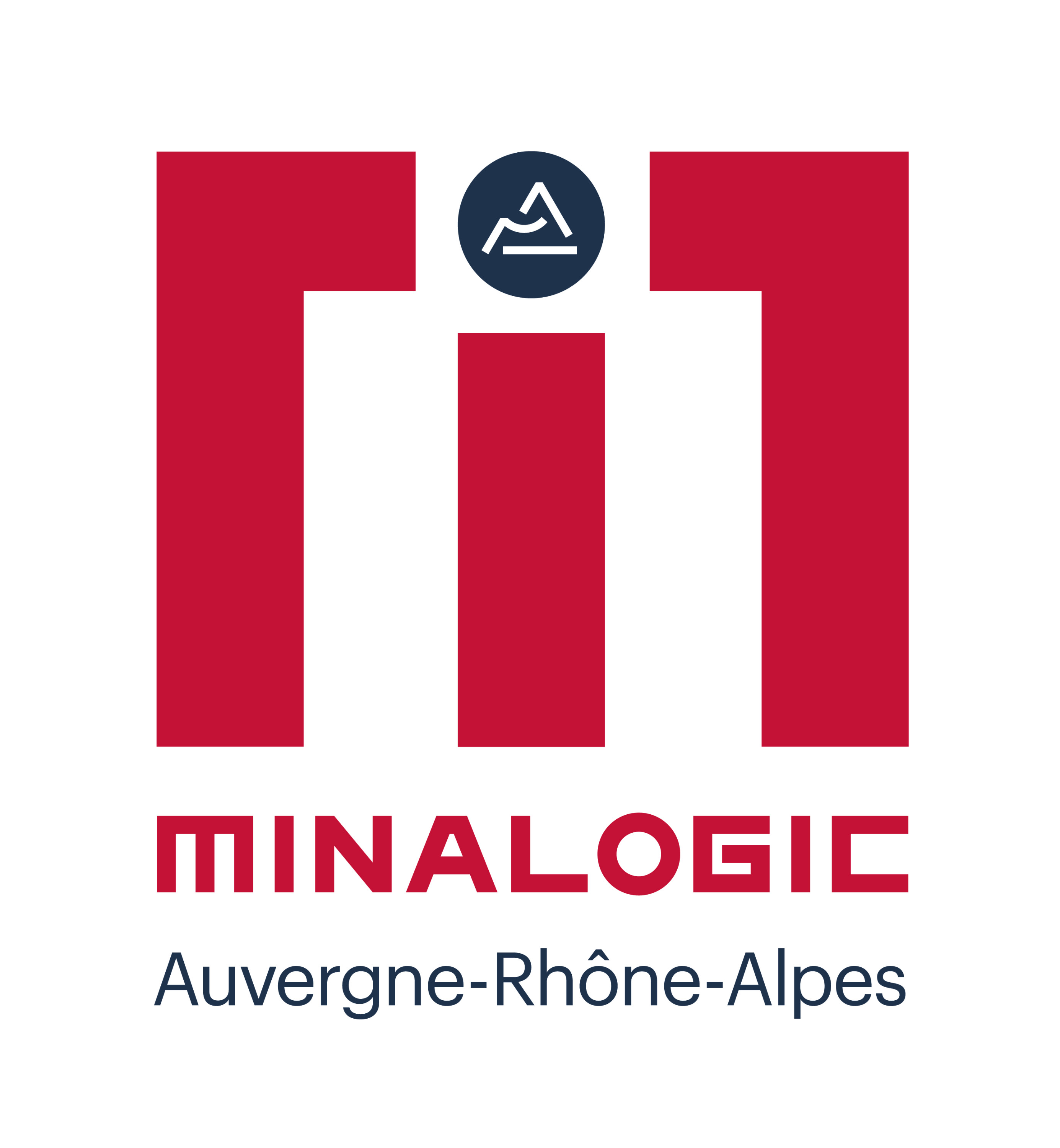 Logo MINALOGIC EASYTECH