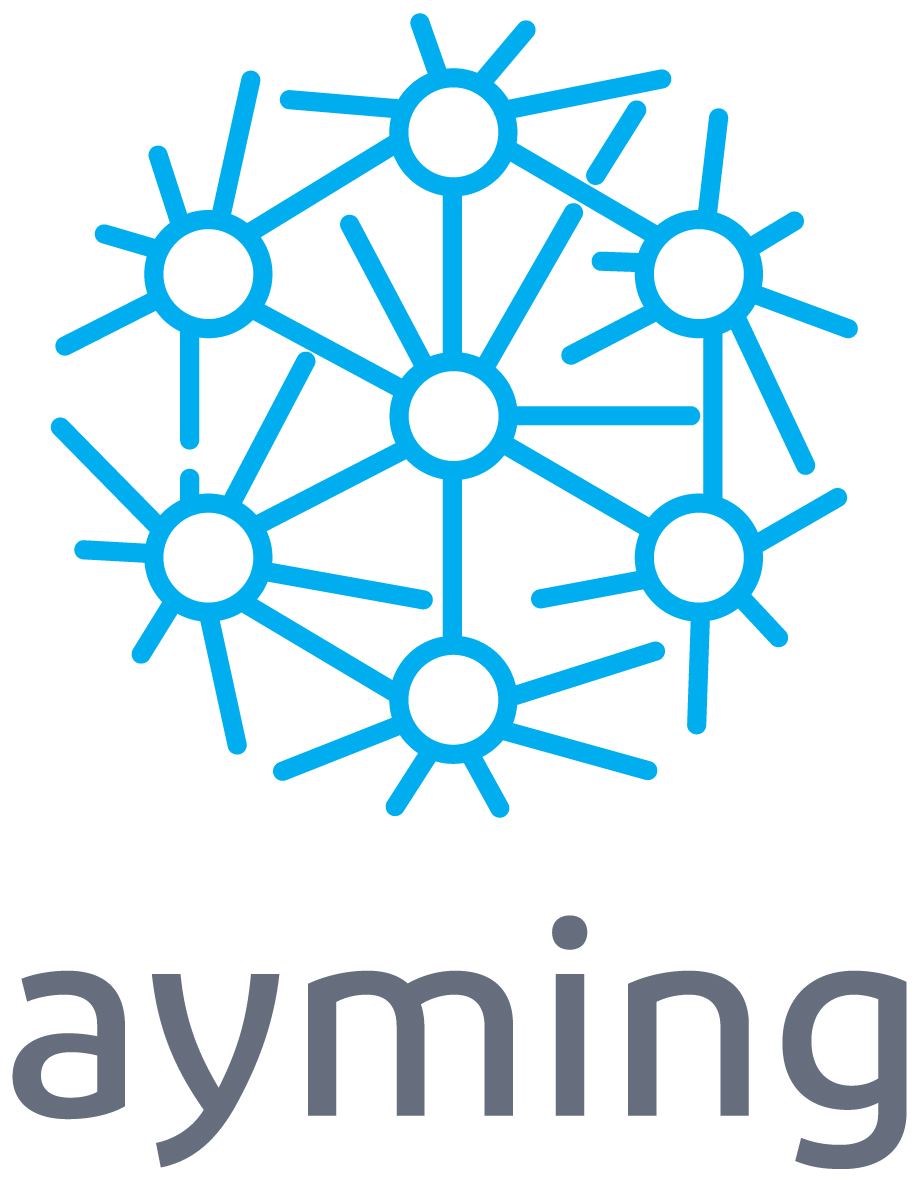 Logo AYMING