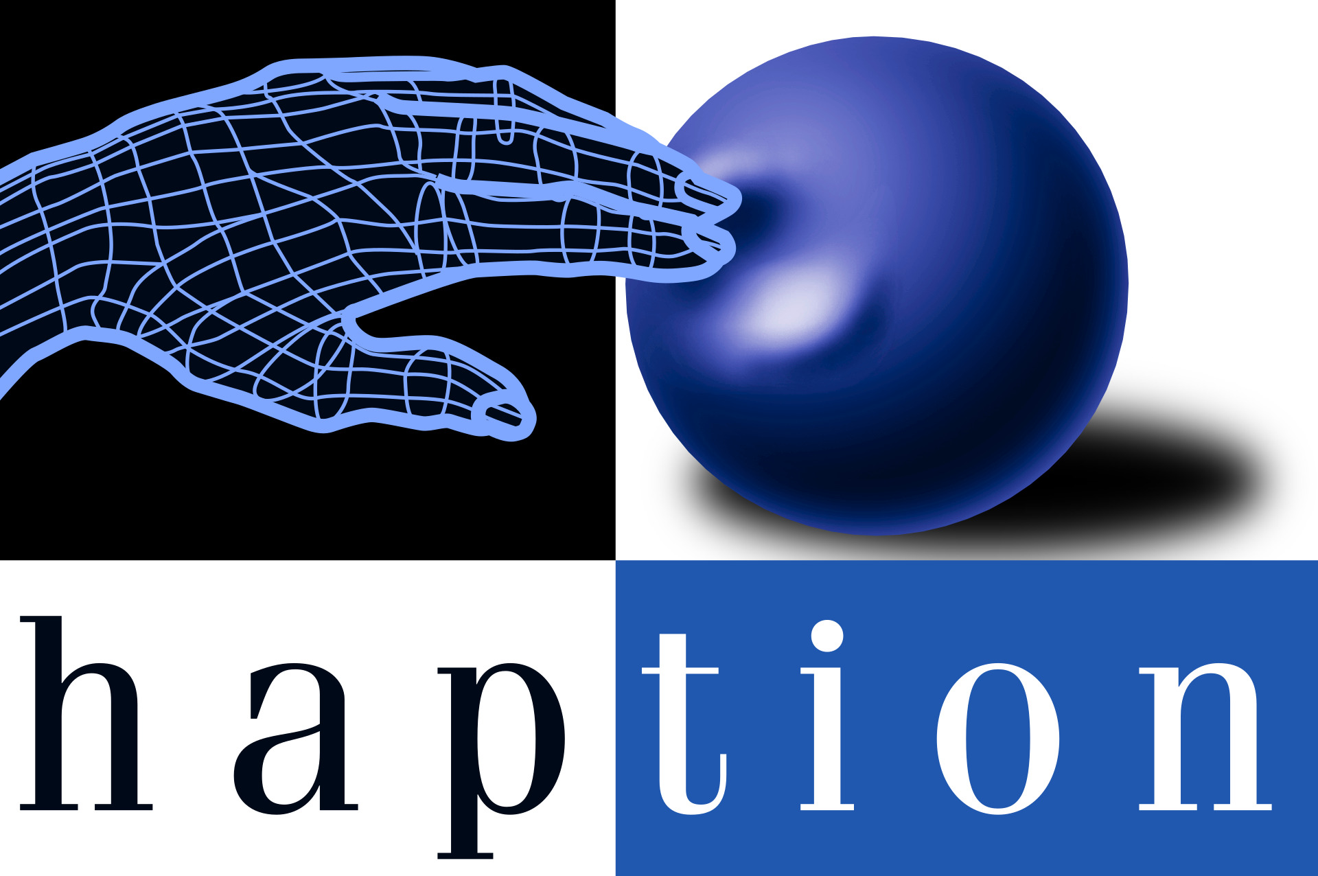 Logo HAPTION