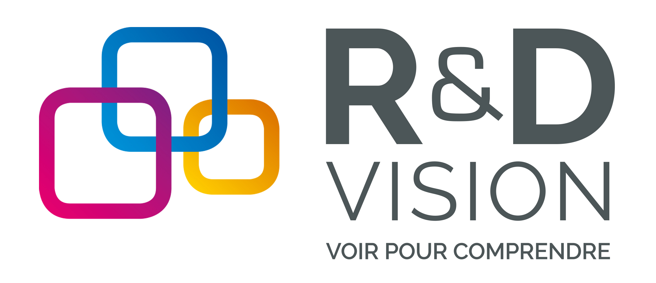 Logo R&D VISION