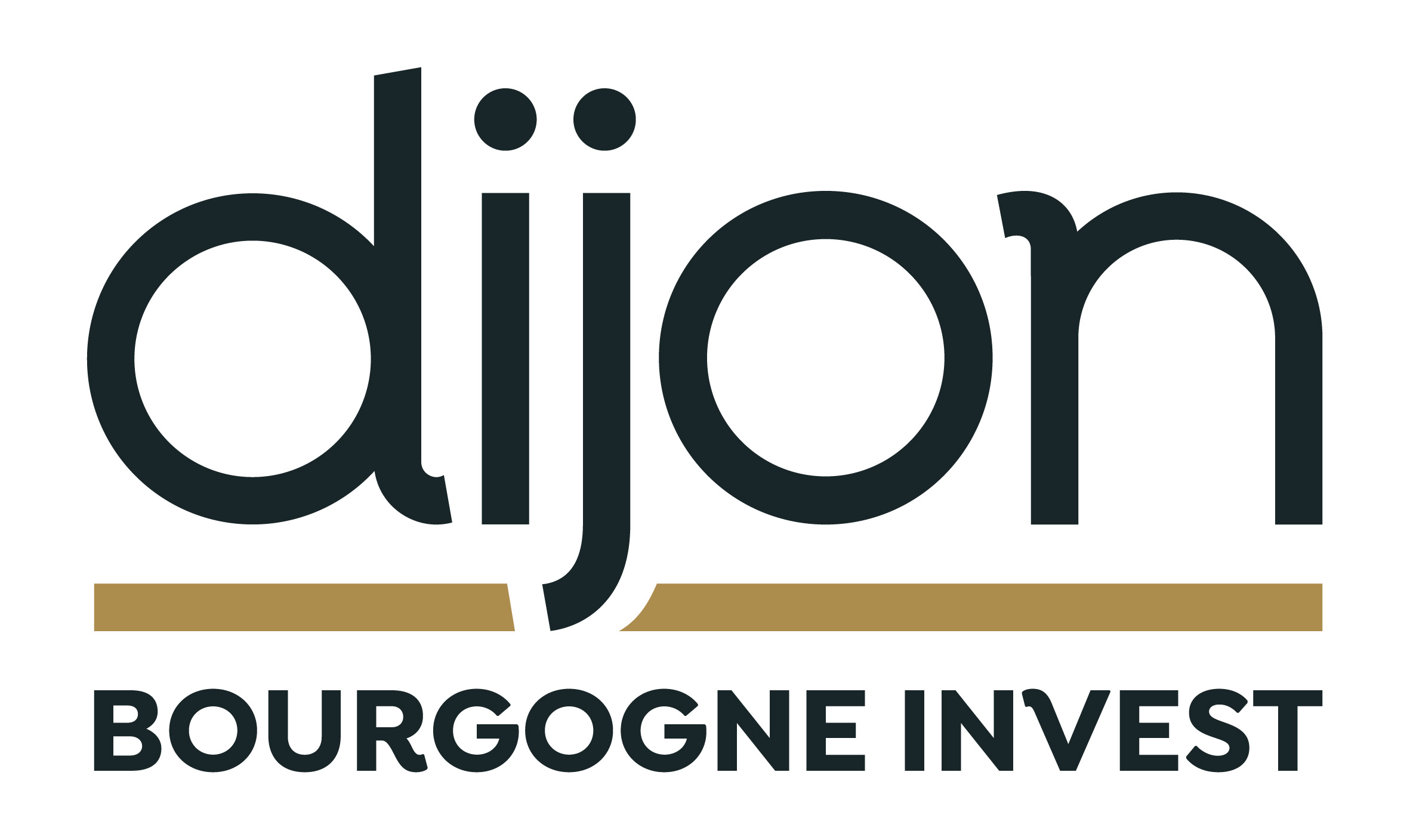 Logo DIJON BOURGOGNE INVEST