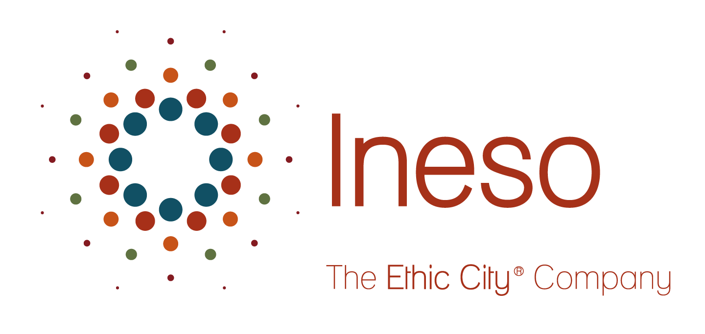 Logo INESO