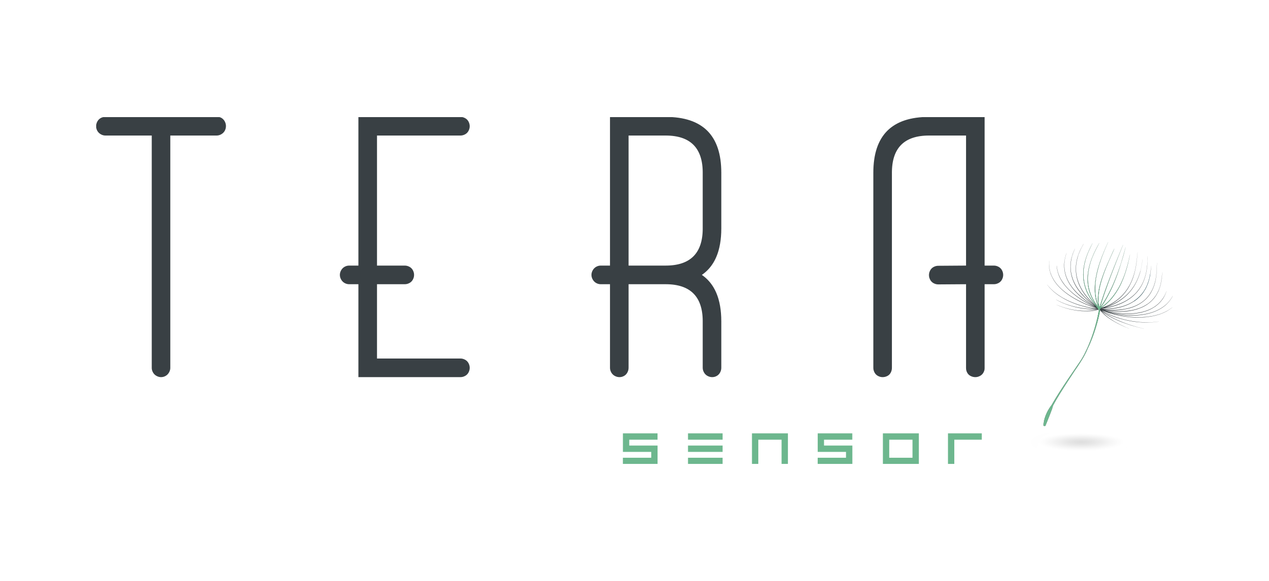 Logo OMWAVE - TERA SENSOR