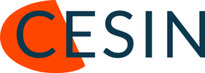 Logo NSP