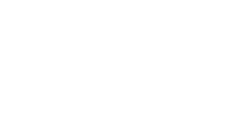 Logo sido-lyon
